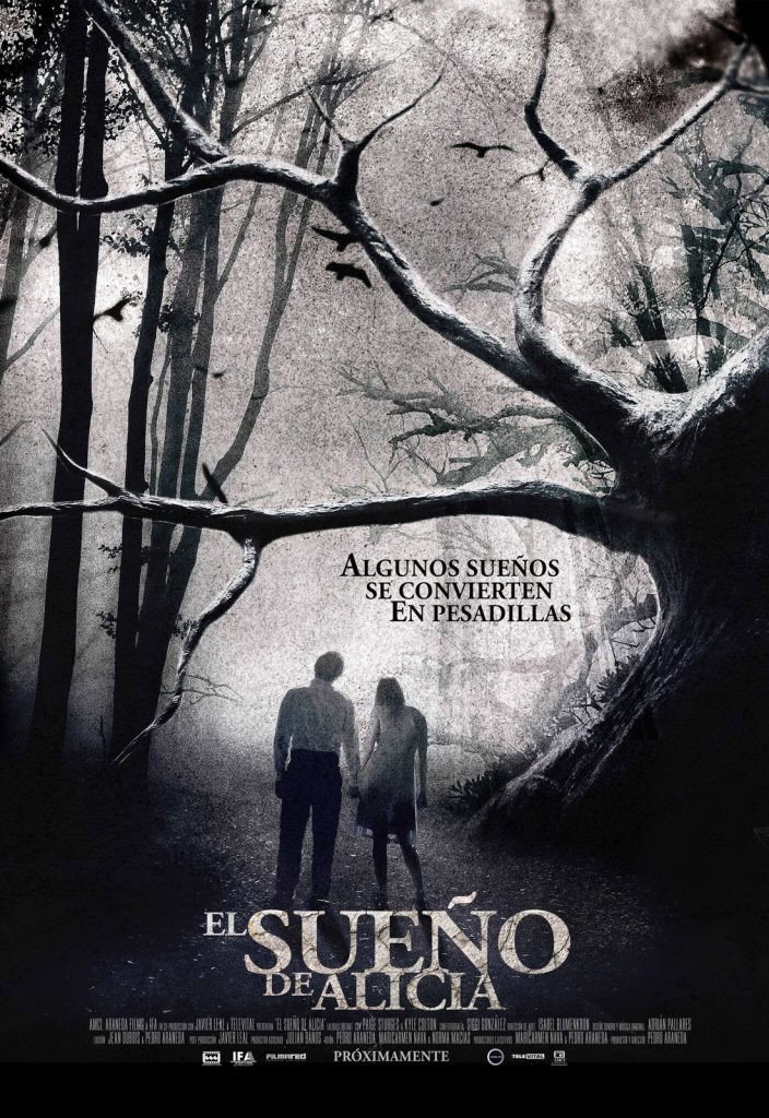 Alicia's Dream movie poster print
