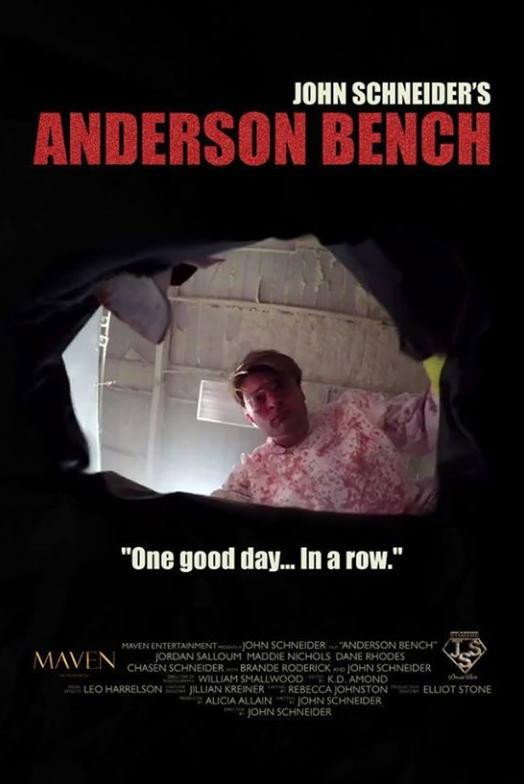 Anderson Bench movie poster print