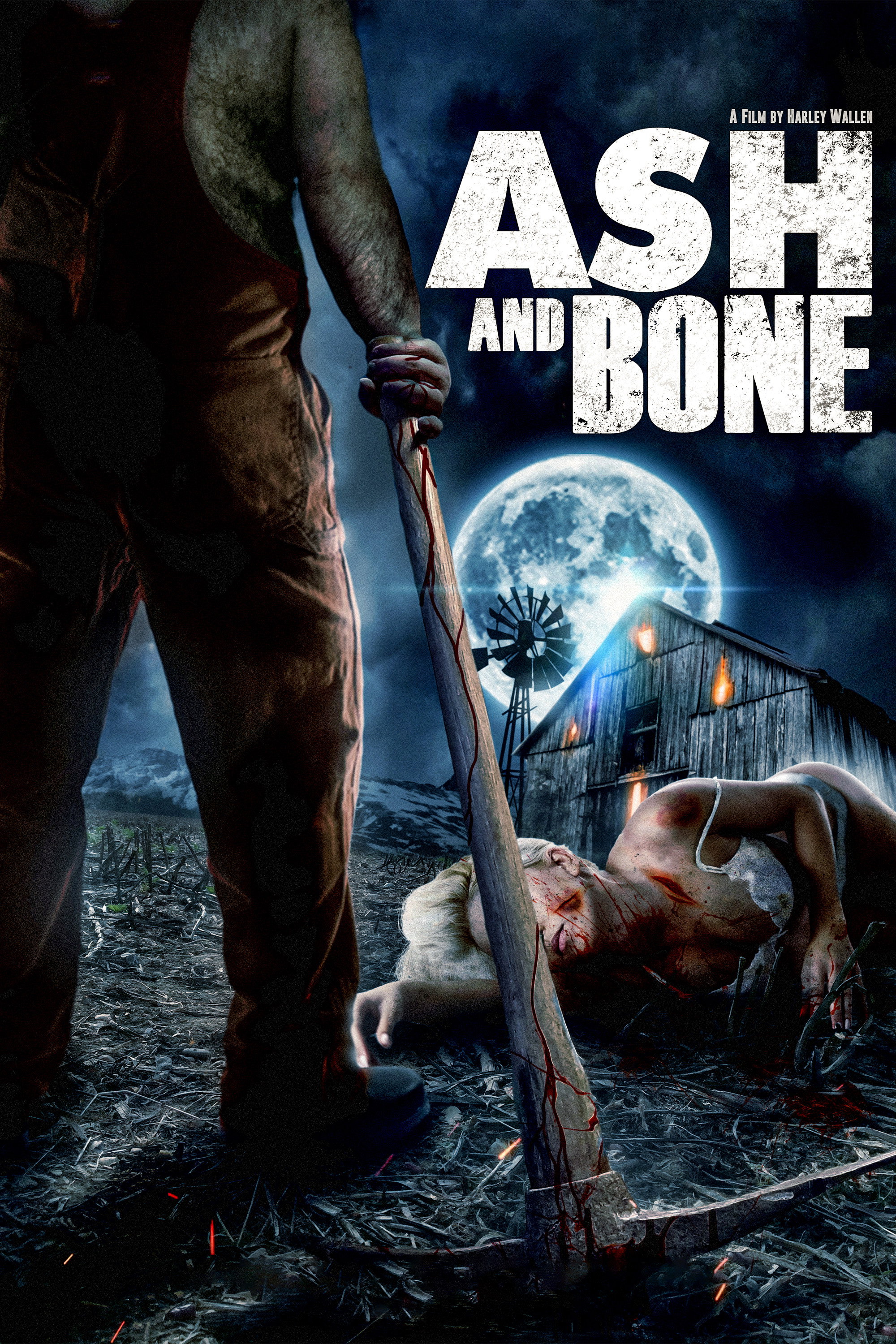 Ash and Bone movie poster print