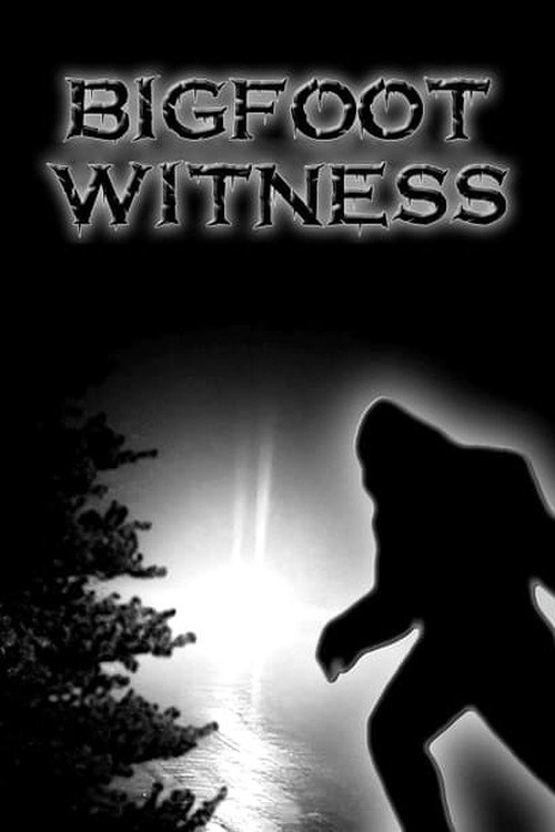 Bigfoot Witness movie poster print