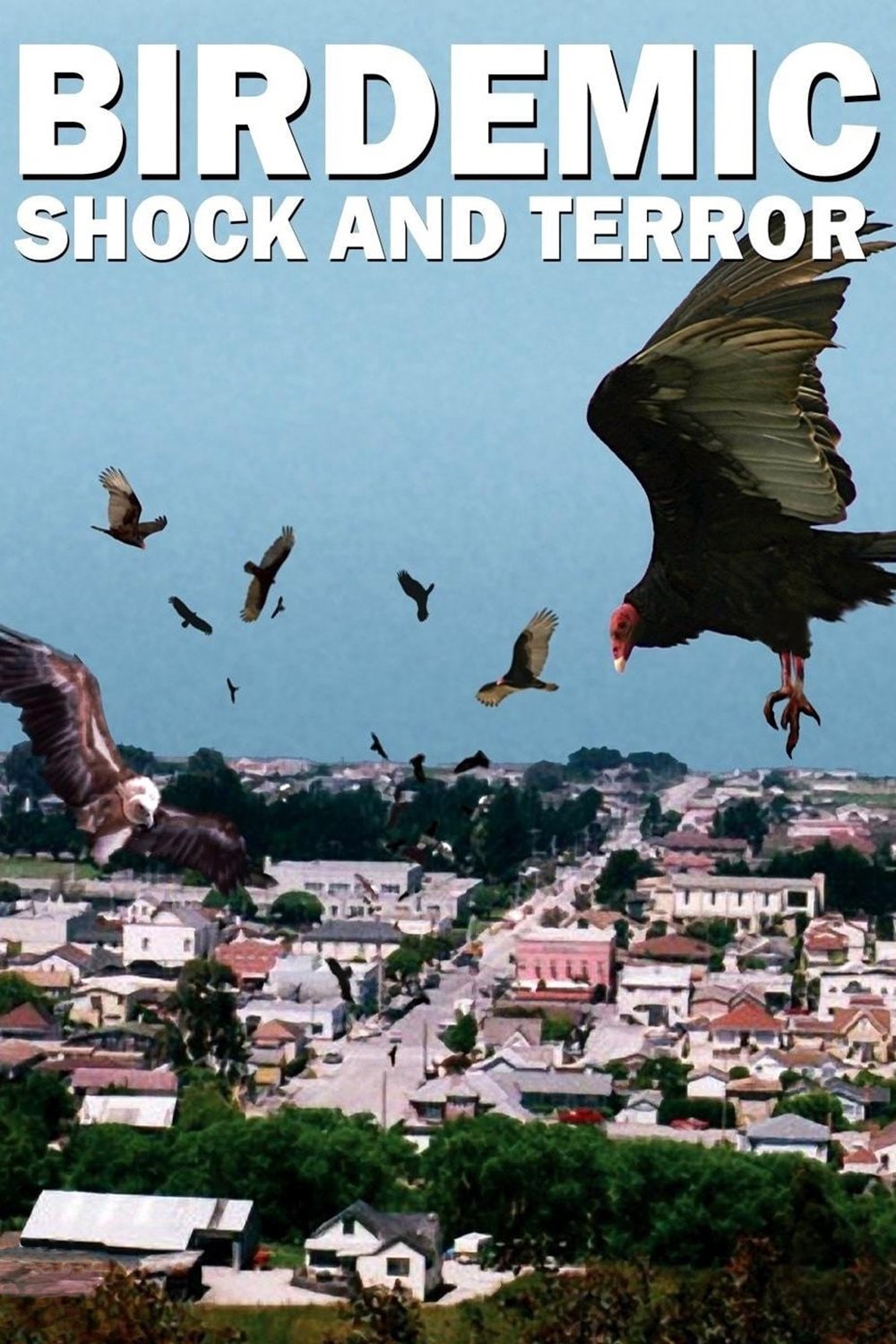 Birdemic: Shock and Terror movie poster print