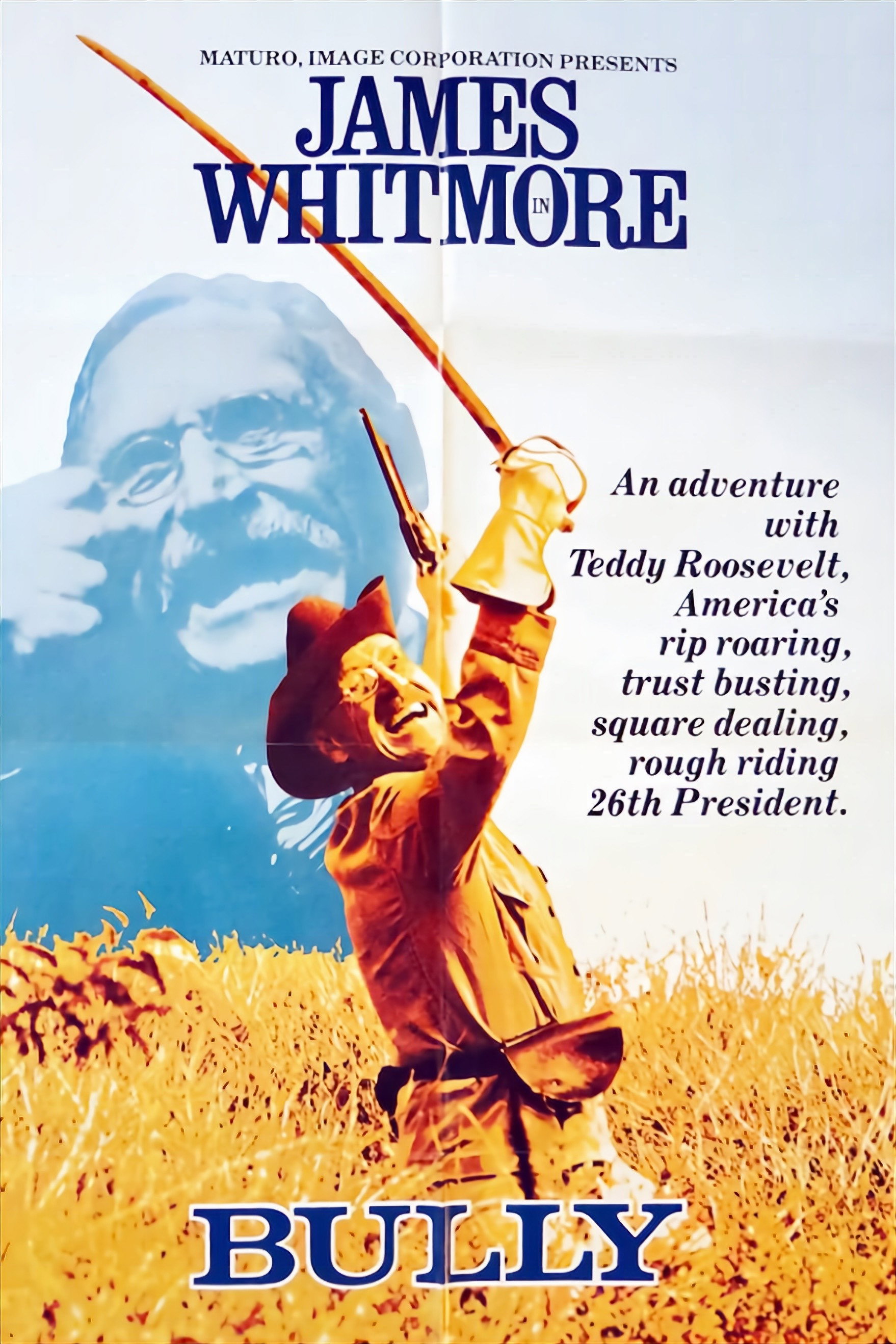 Bully: An Adventure with Teddy Roosevelt movie poster print