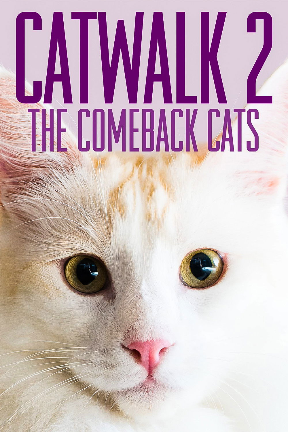 Catwalk 2: The Comeback Cats movie poster print