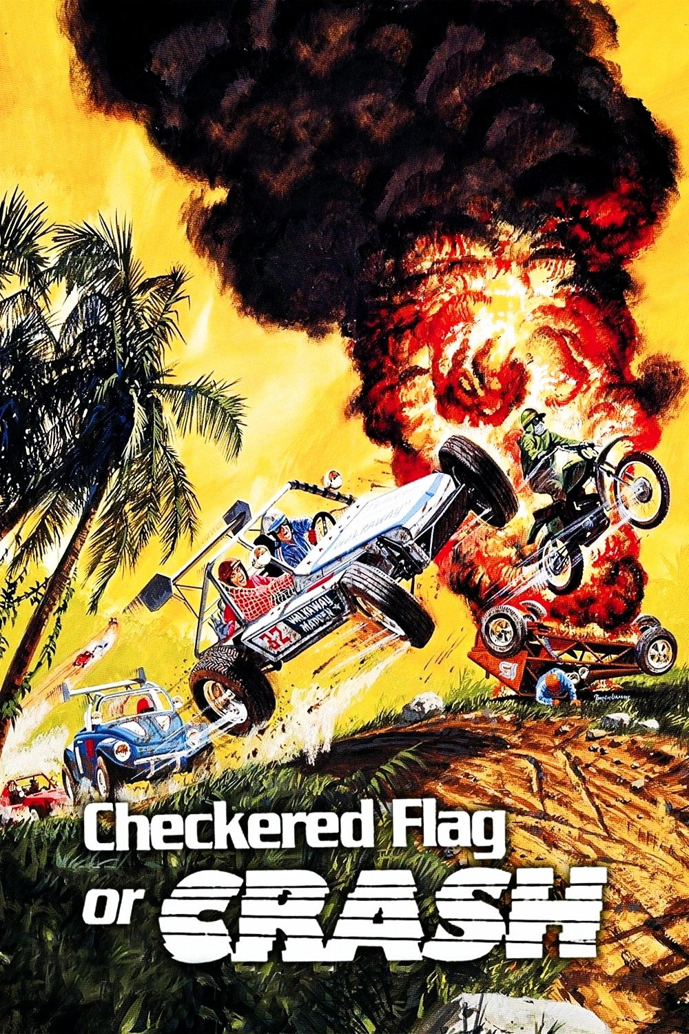 Checkered Flag or Crash movie poster print