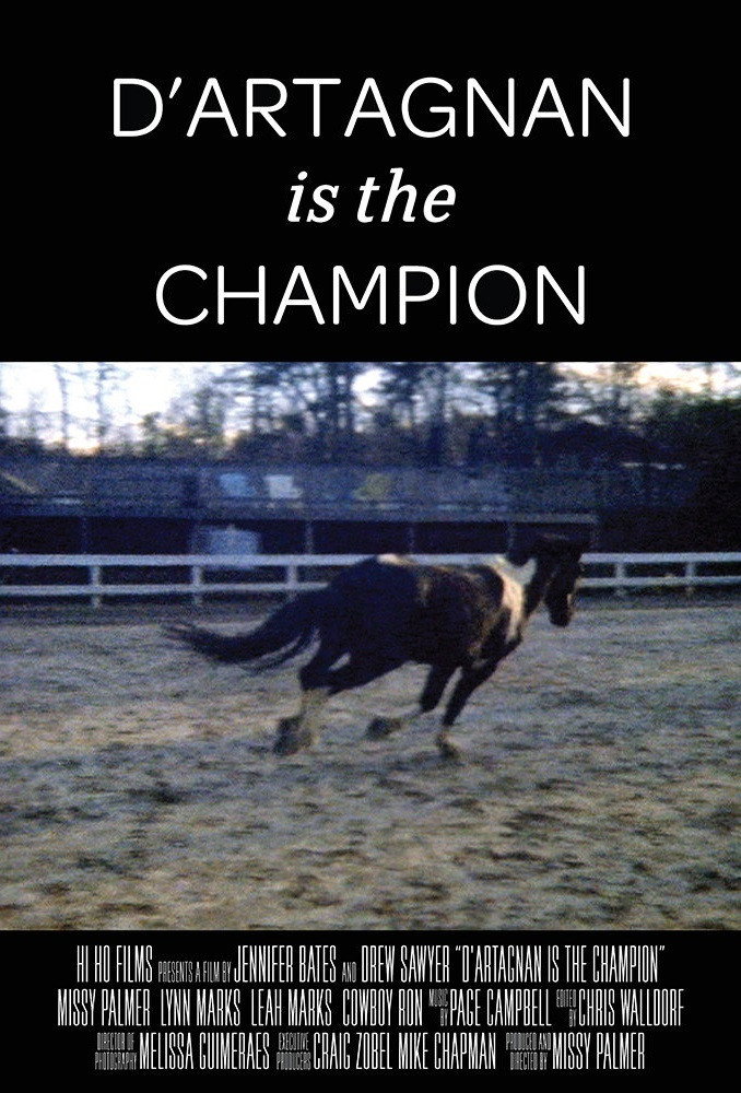 D'artagnan is the Champion movie poster print