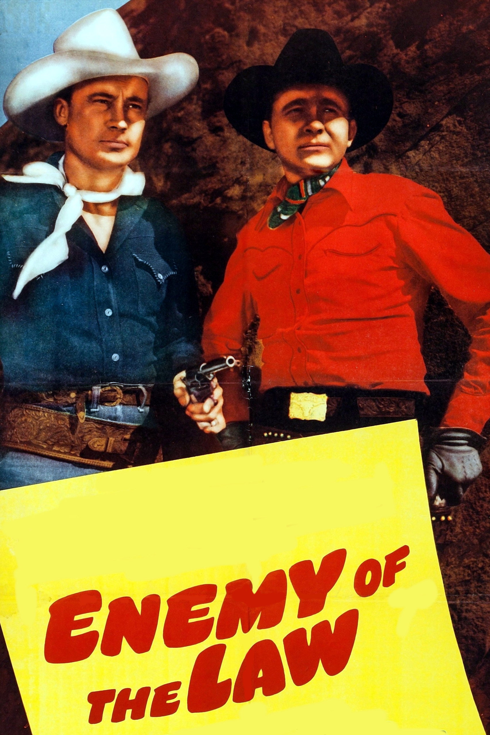 Enemy of the Law movie poster print