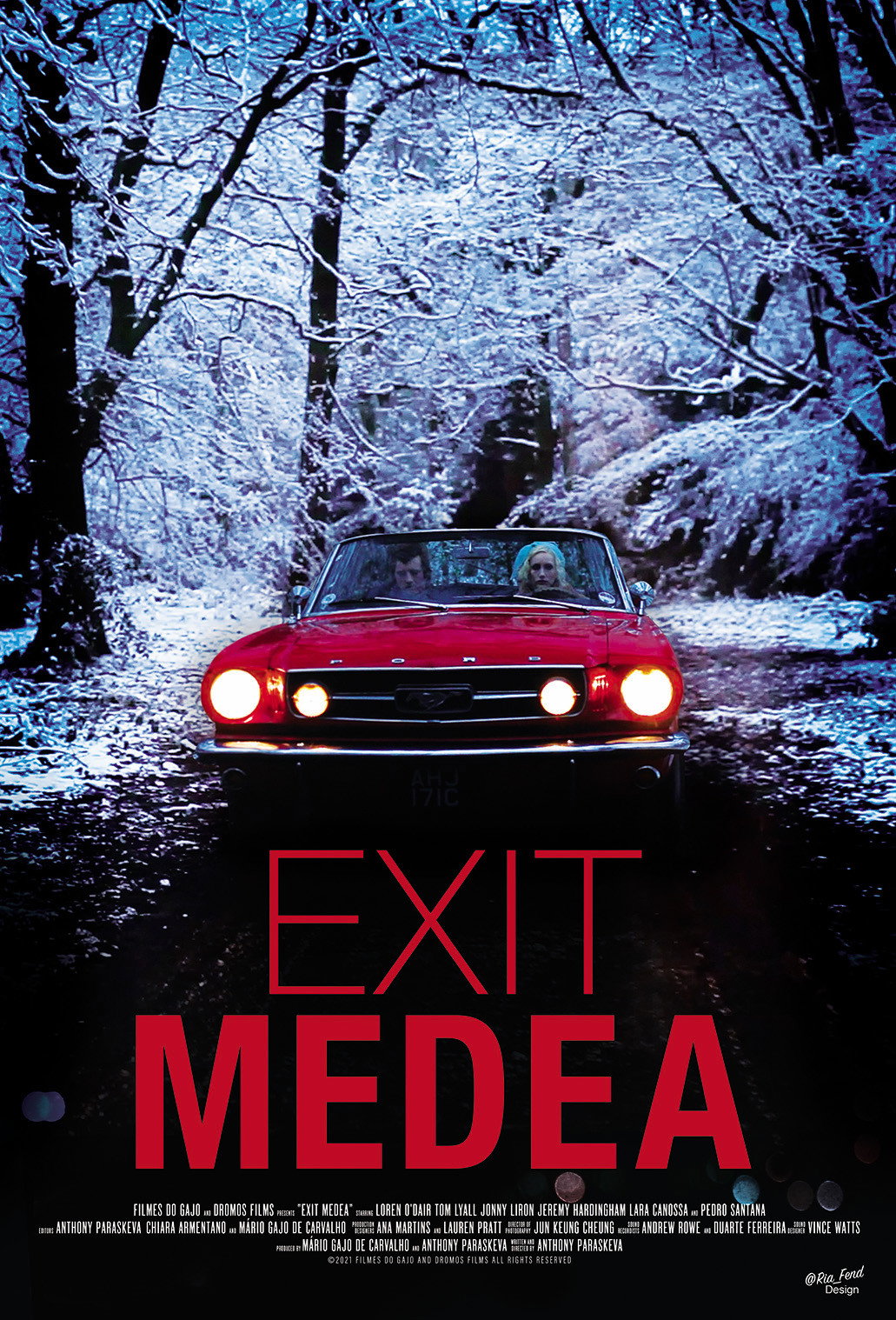 Exit Medea movie poster print