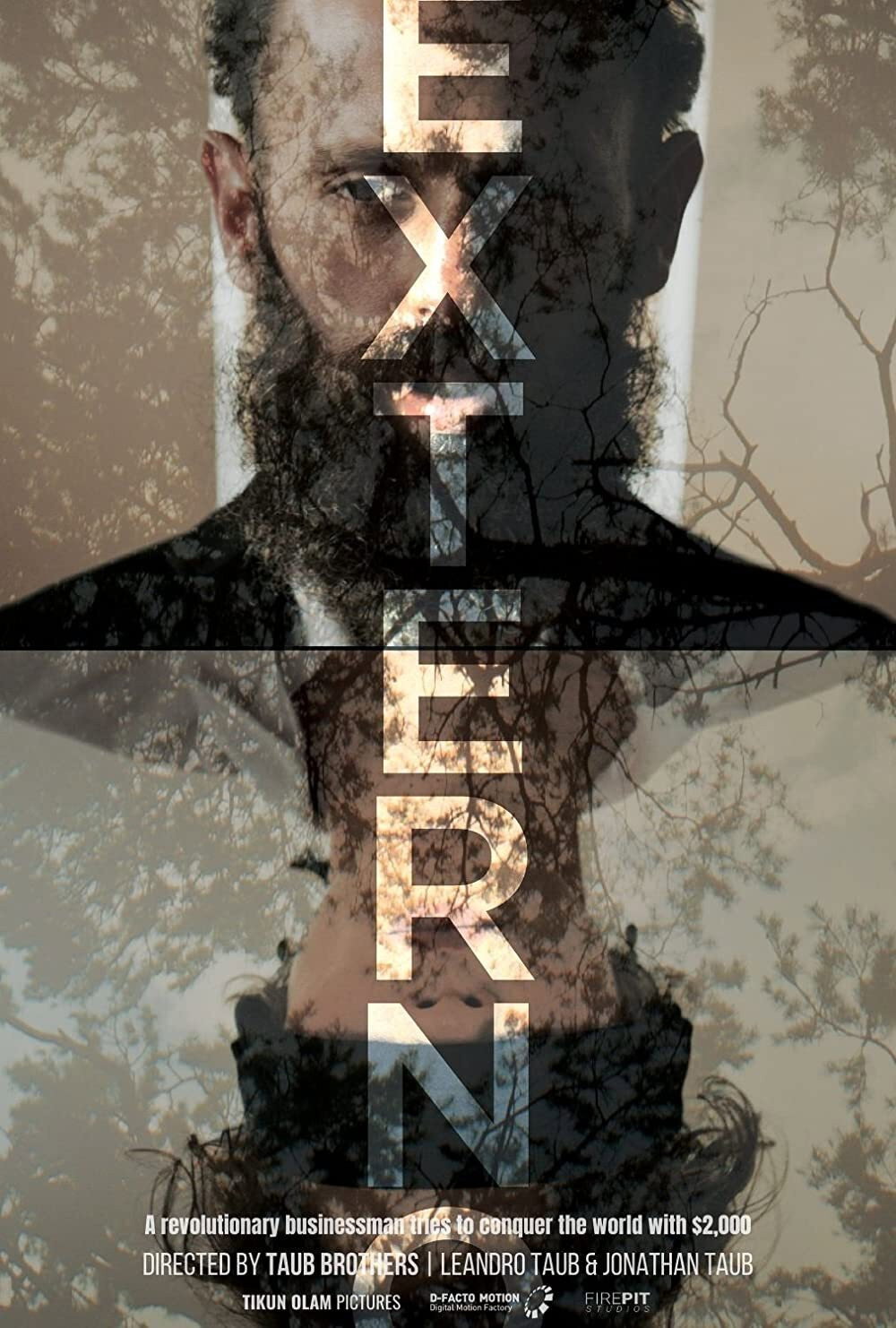 Externo movie poster print