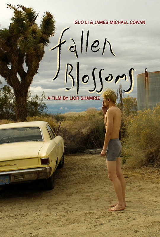 Fallen Blossoms movie poster print