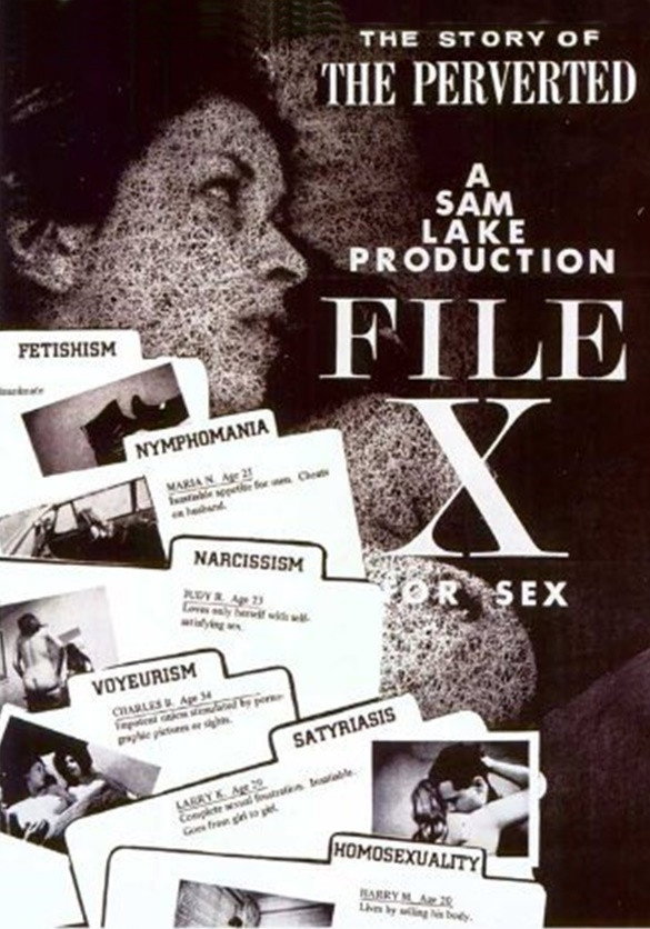 File X for Sex: The Story of the Perverted movie poster print