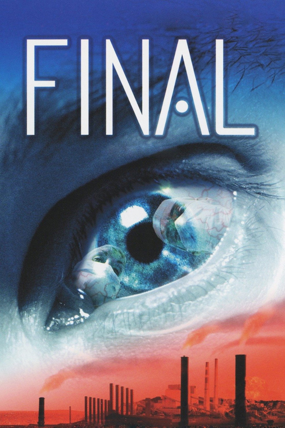 Final movie poster print