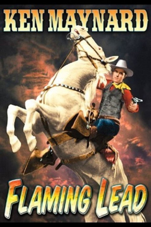 Flaming Lead movie poster print