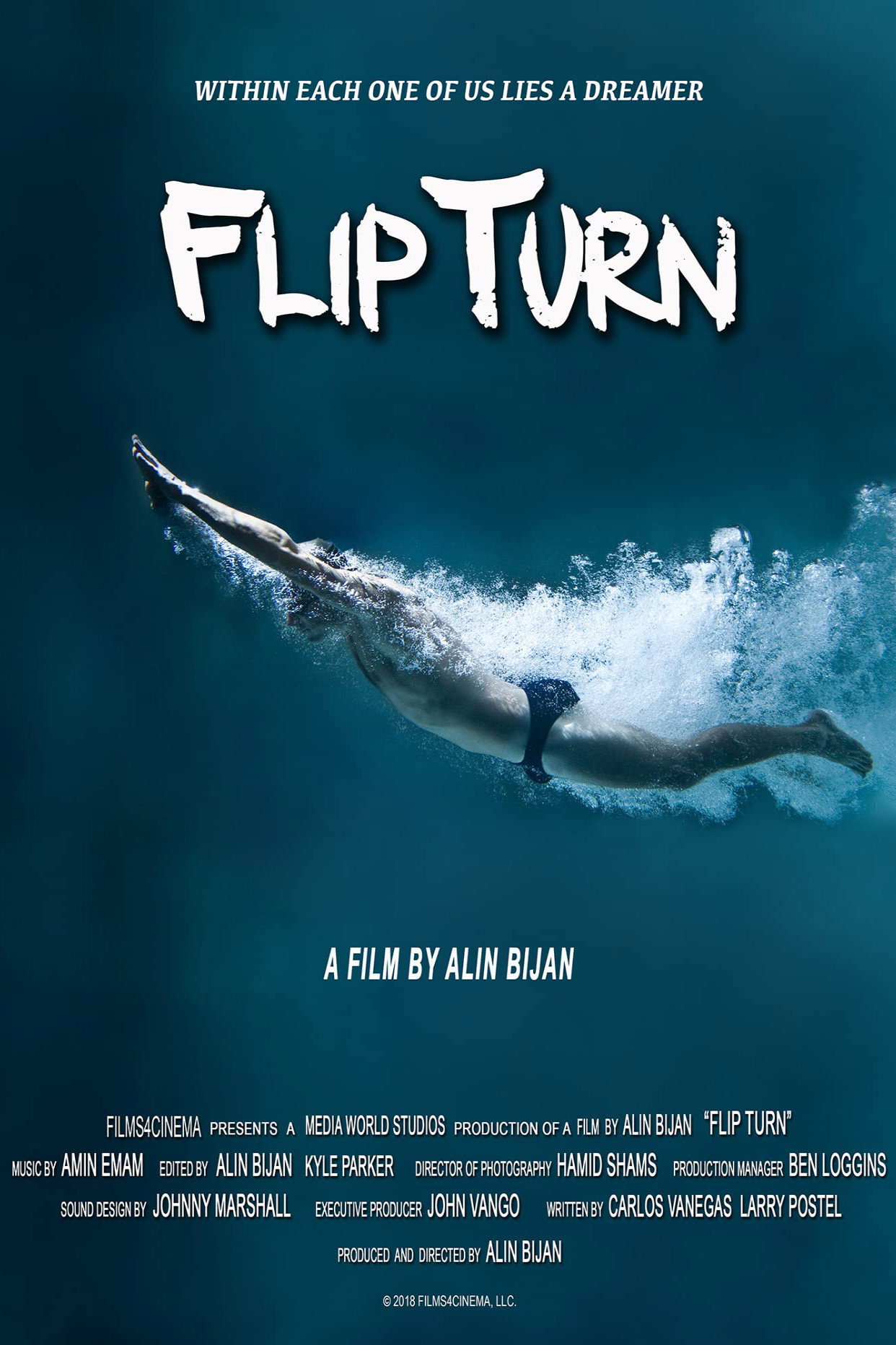 Flip Turn movie poster print