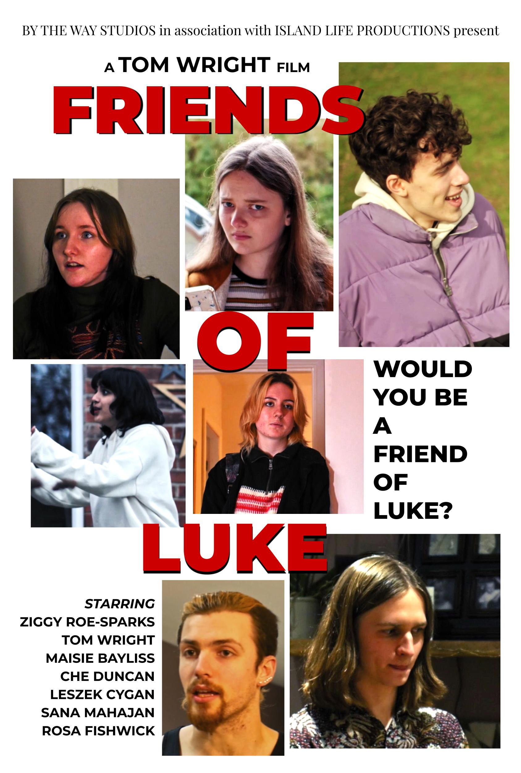 Friends of Luke movie poster print