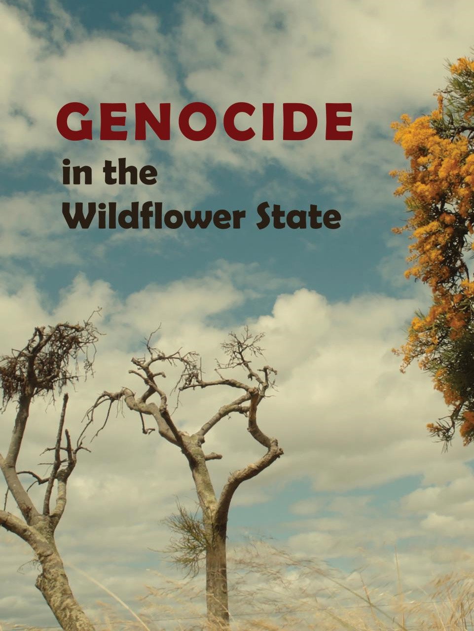 Genocide in the Wildflower State movie poster print