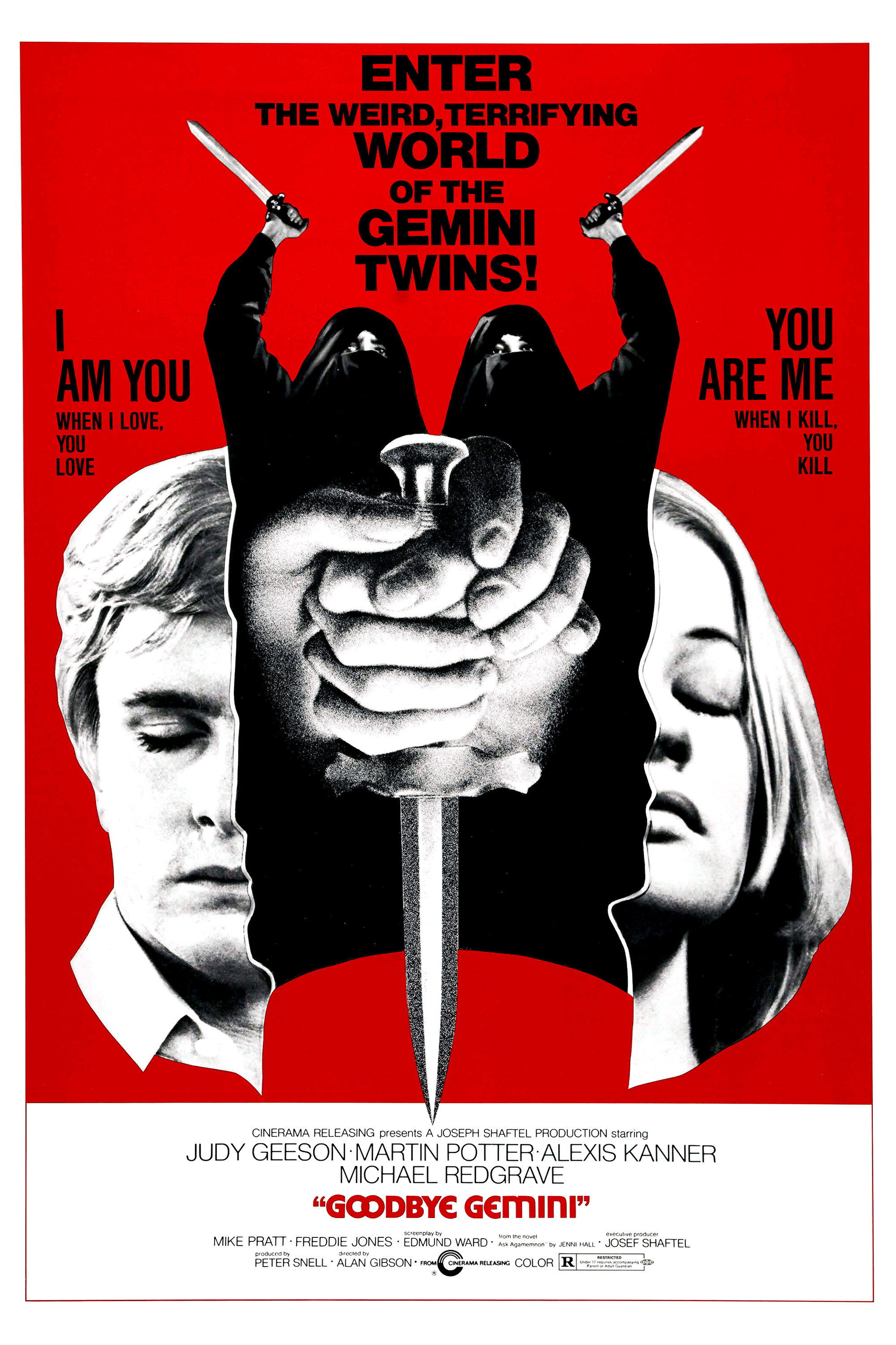 Goodbye Gemini movie poster print