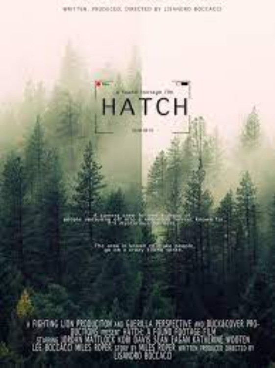 Hatch: Found Footage movie poster print