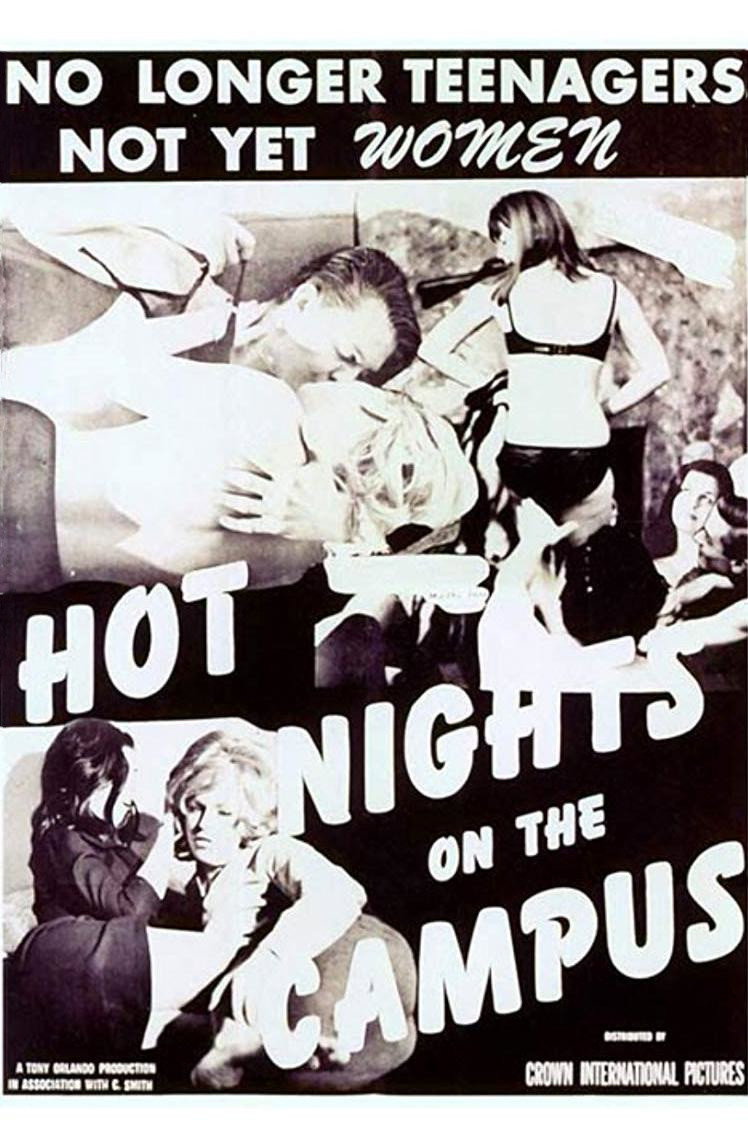 Hot Nights on the Campus movie poster print
