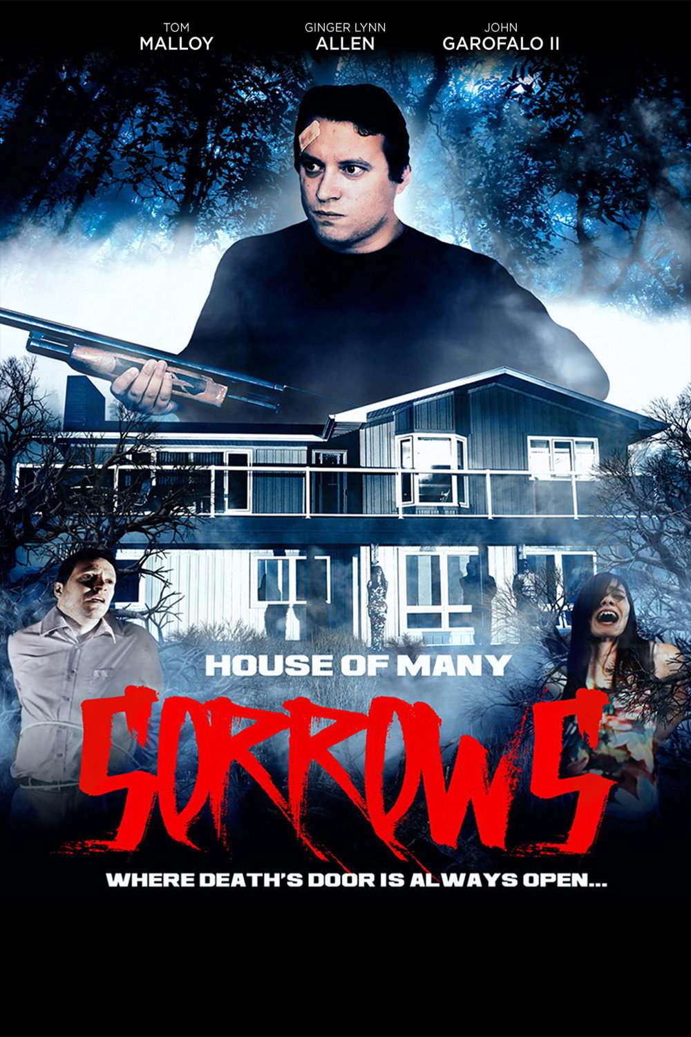 House of Many Sorrows movie poster print