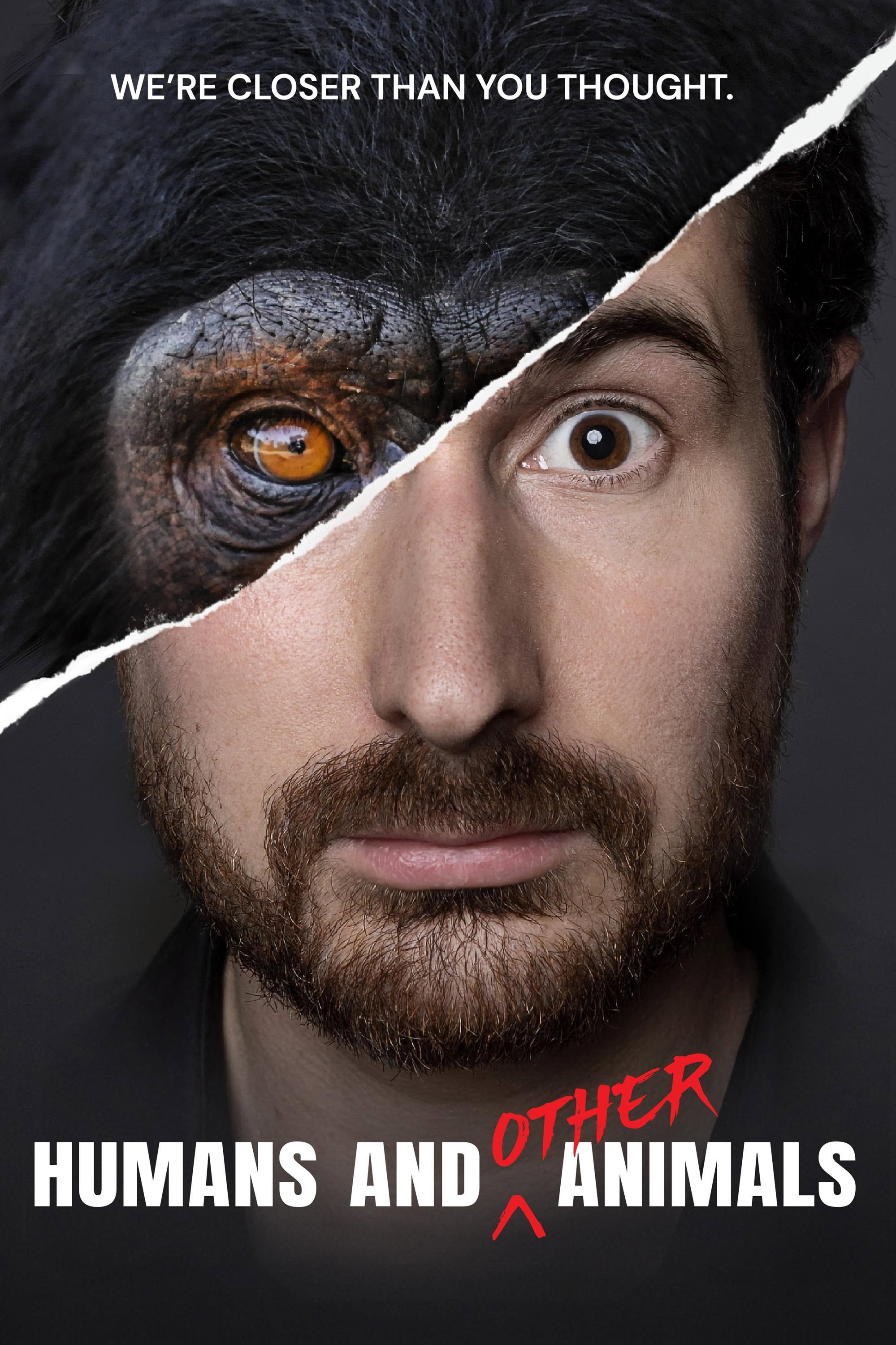 Humans and Other Animals movie poster print