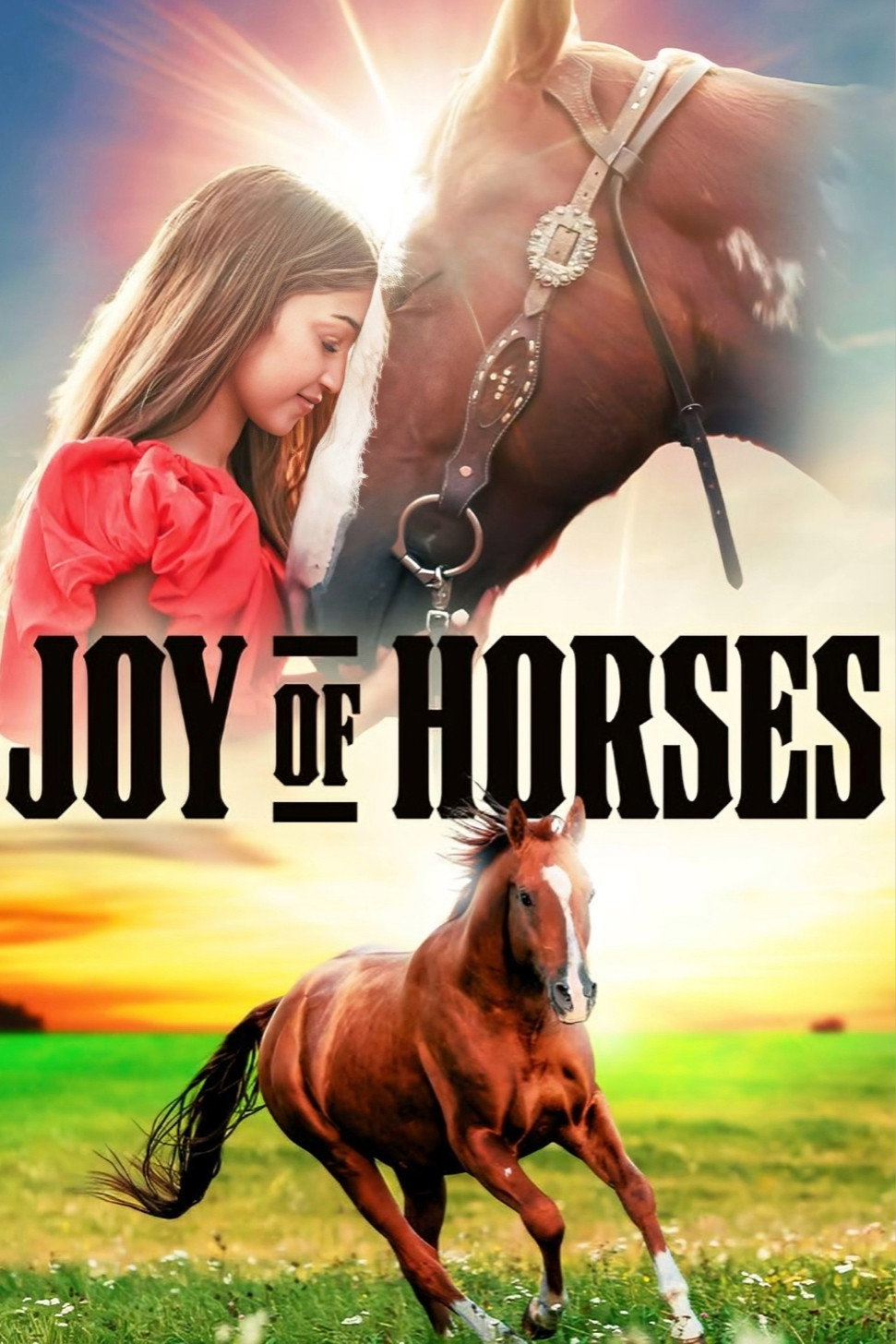 Joy of Horses movie poster print