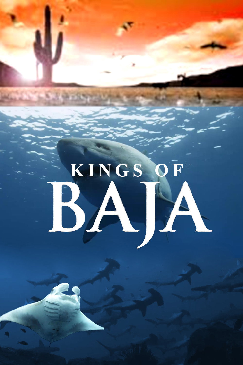 Kings of Baja movie poster print
