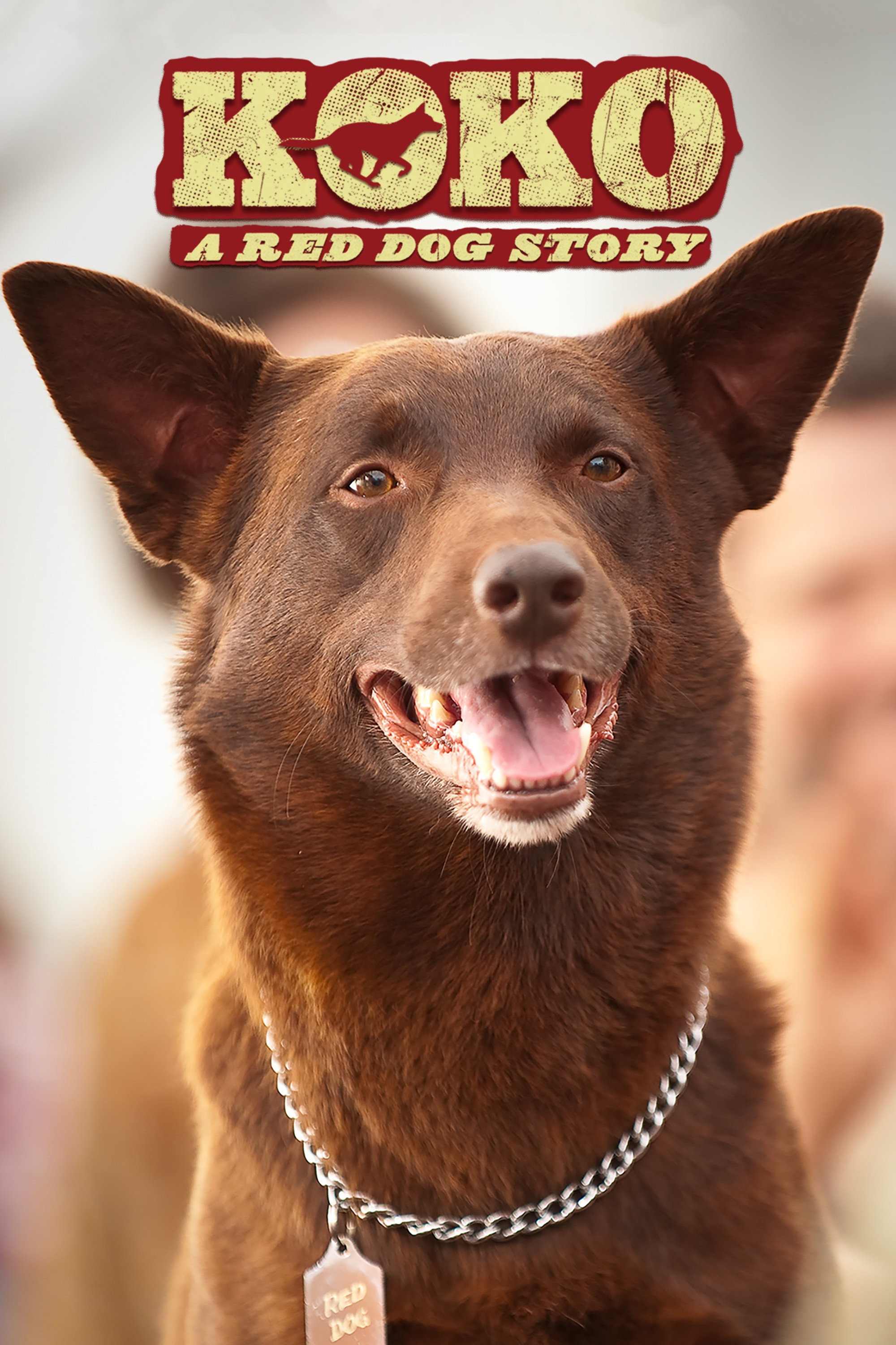 Koko: A Red Dog Story movie poster print