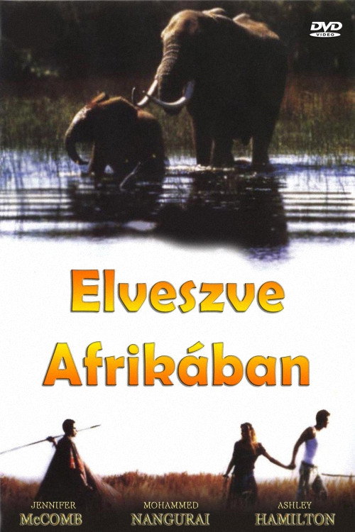 Lost in Africa movie poster print
