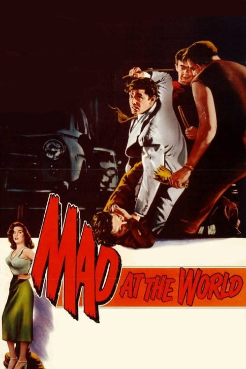 Mad at the World movie poster print
