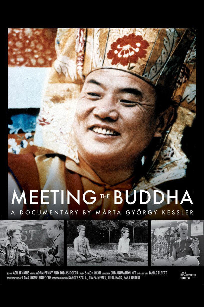 Meeting the Buddha movie poster print