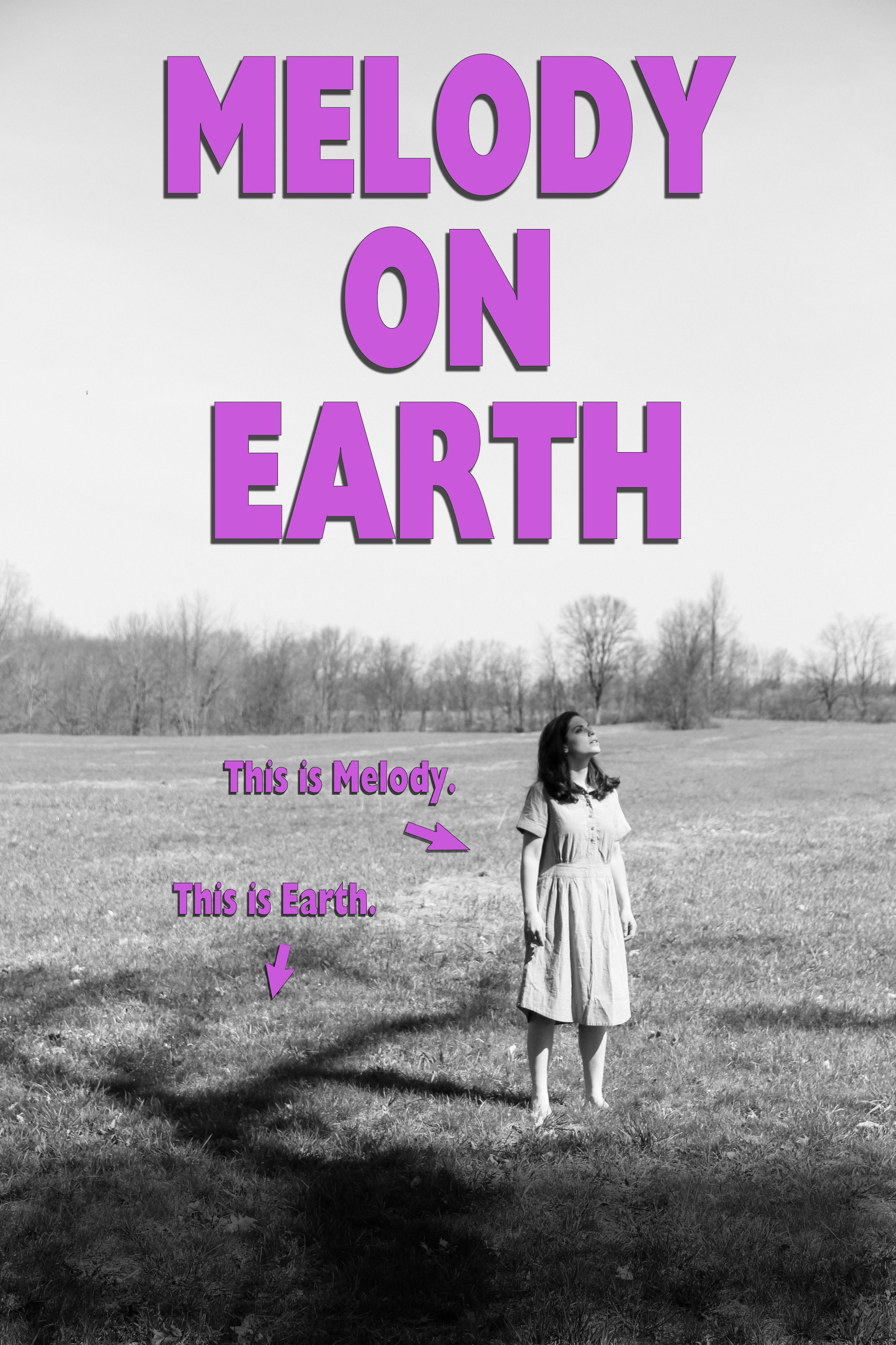 Melody on Earth movie poster print