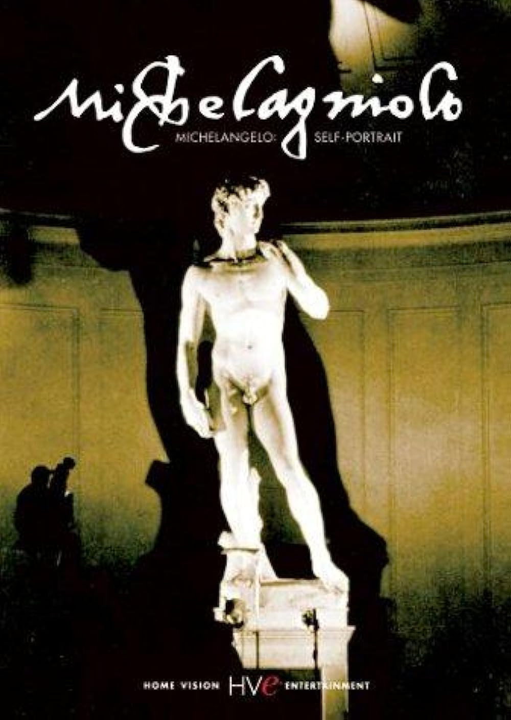Michelangelo: A Self Portrait poster