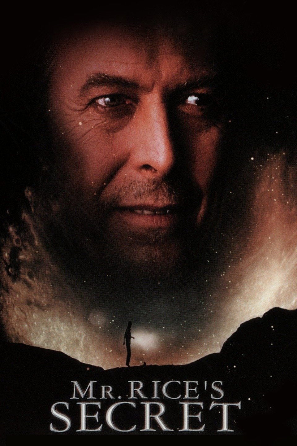 Mr. Rice's Secret movie poster print