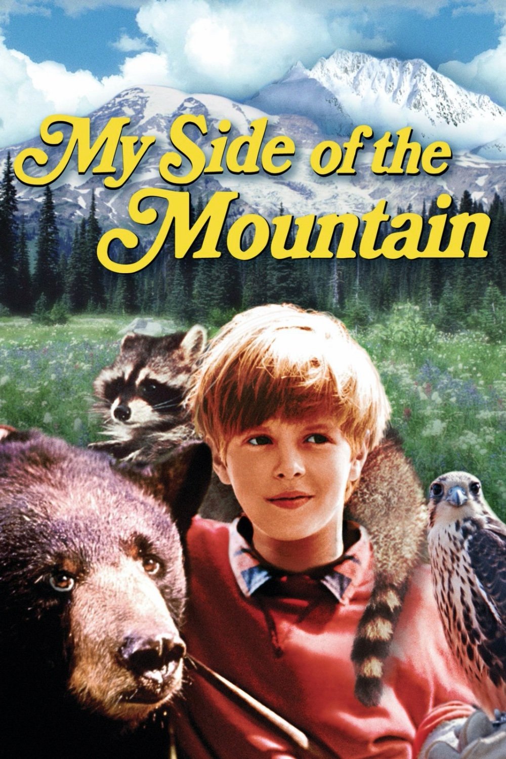My Side of the Mountain movie poster print