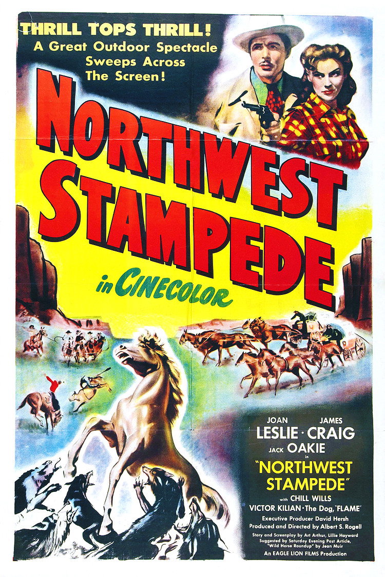 Northwest Stampede movie poster print