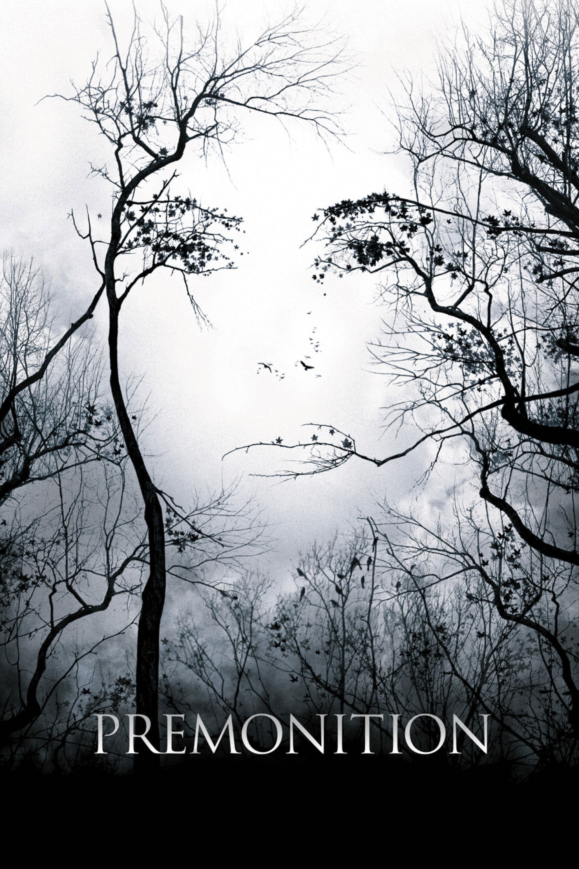Premonition movie poster print