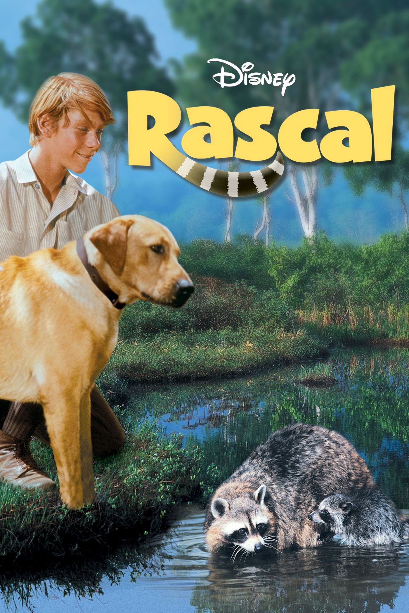 Rascal movie poster print