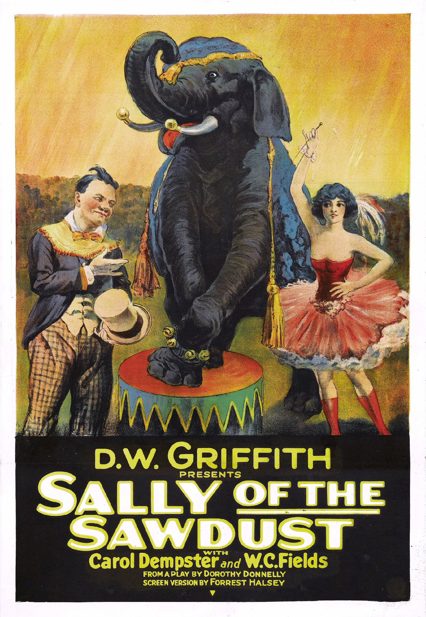 Sally of the Sawdust movie poster print