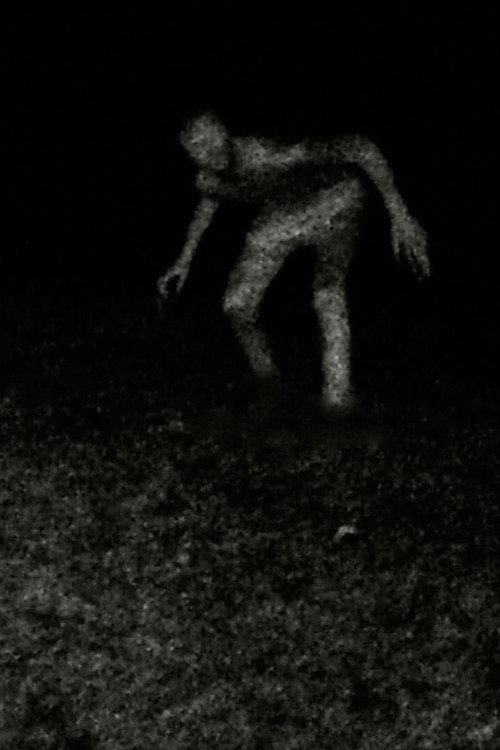 Stalking movie poster print