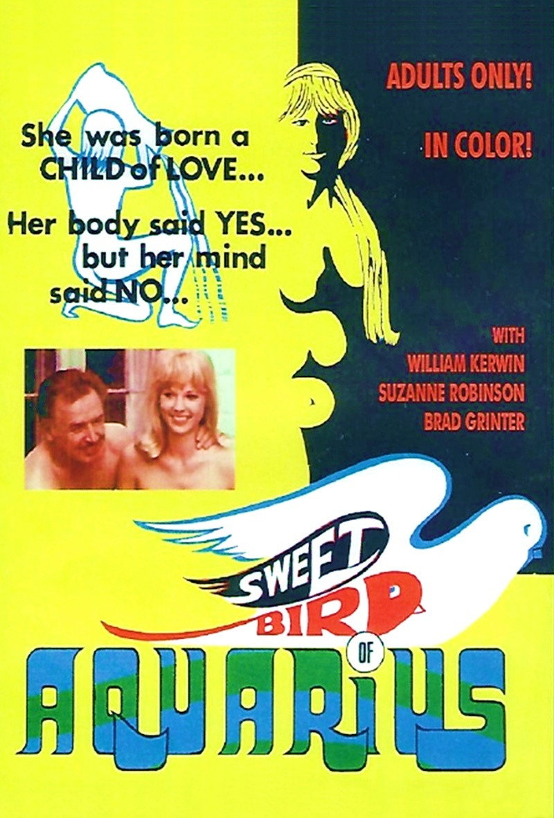 Sweet Bird of Aquarius movie poster print