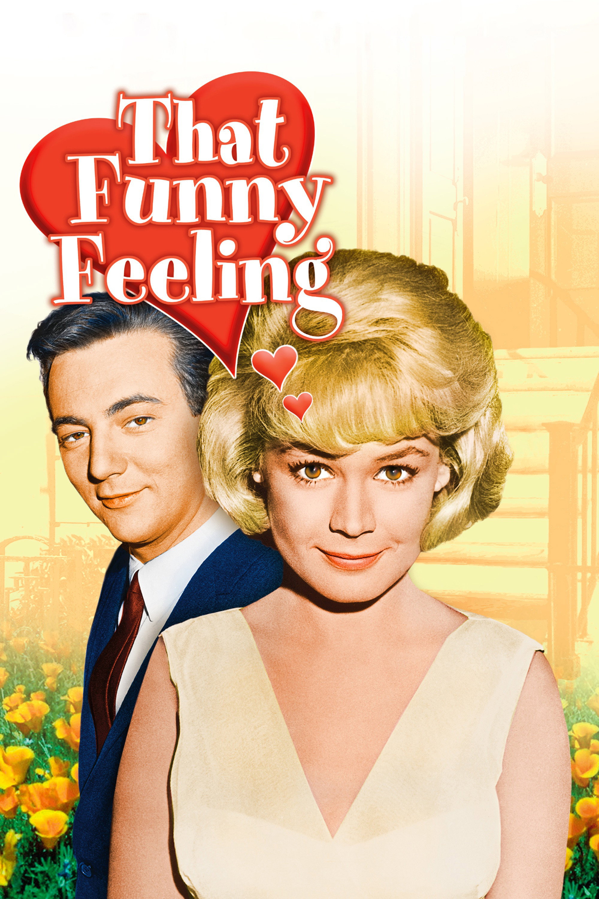 That Funny Feeling movie poster print