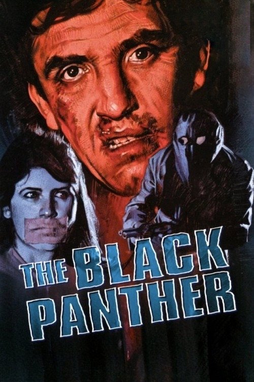 The Black Panther movie poster print