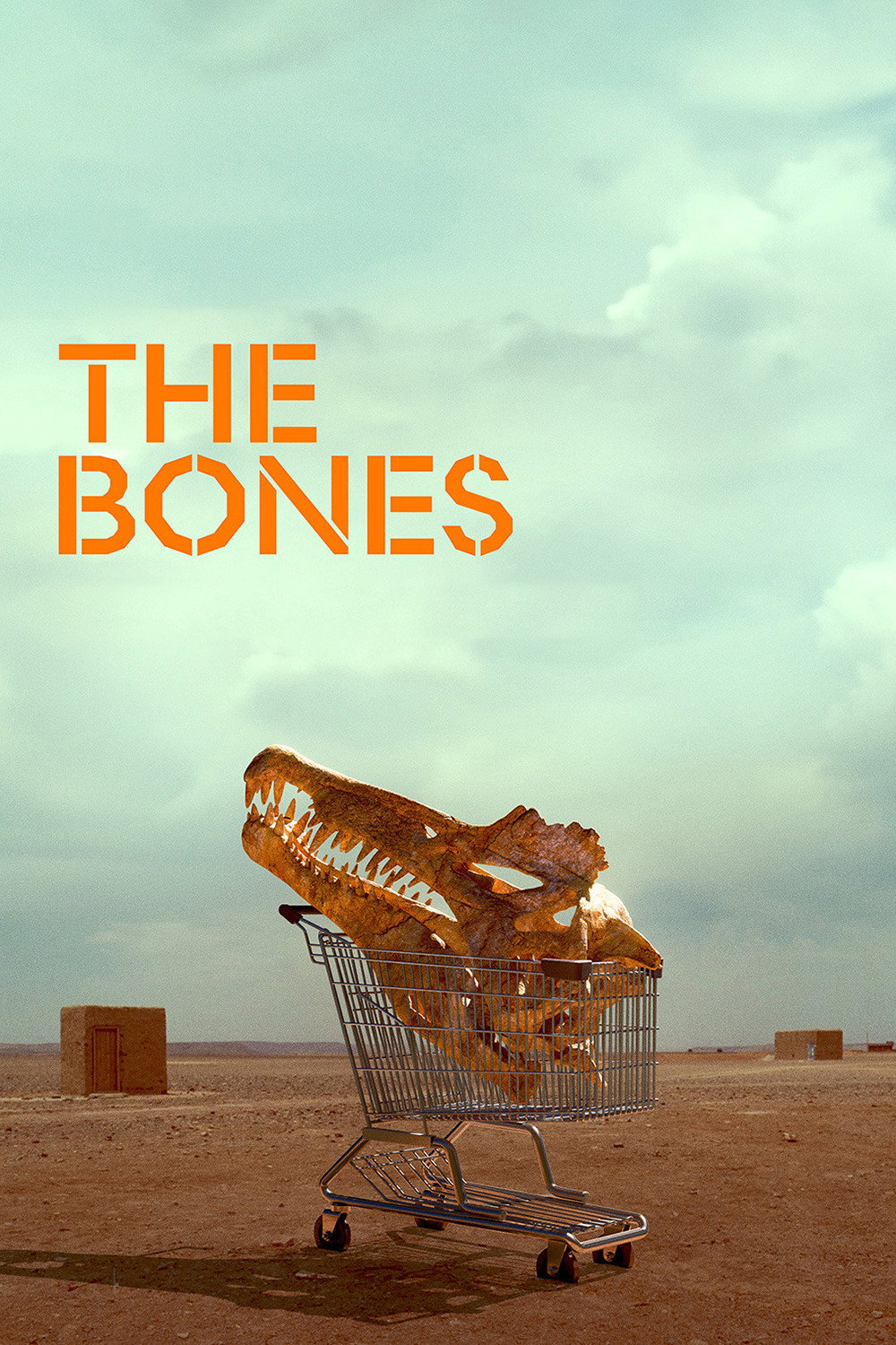 The Bones movie poster print