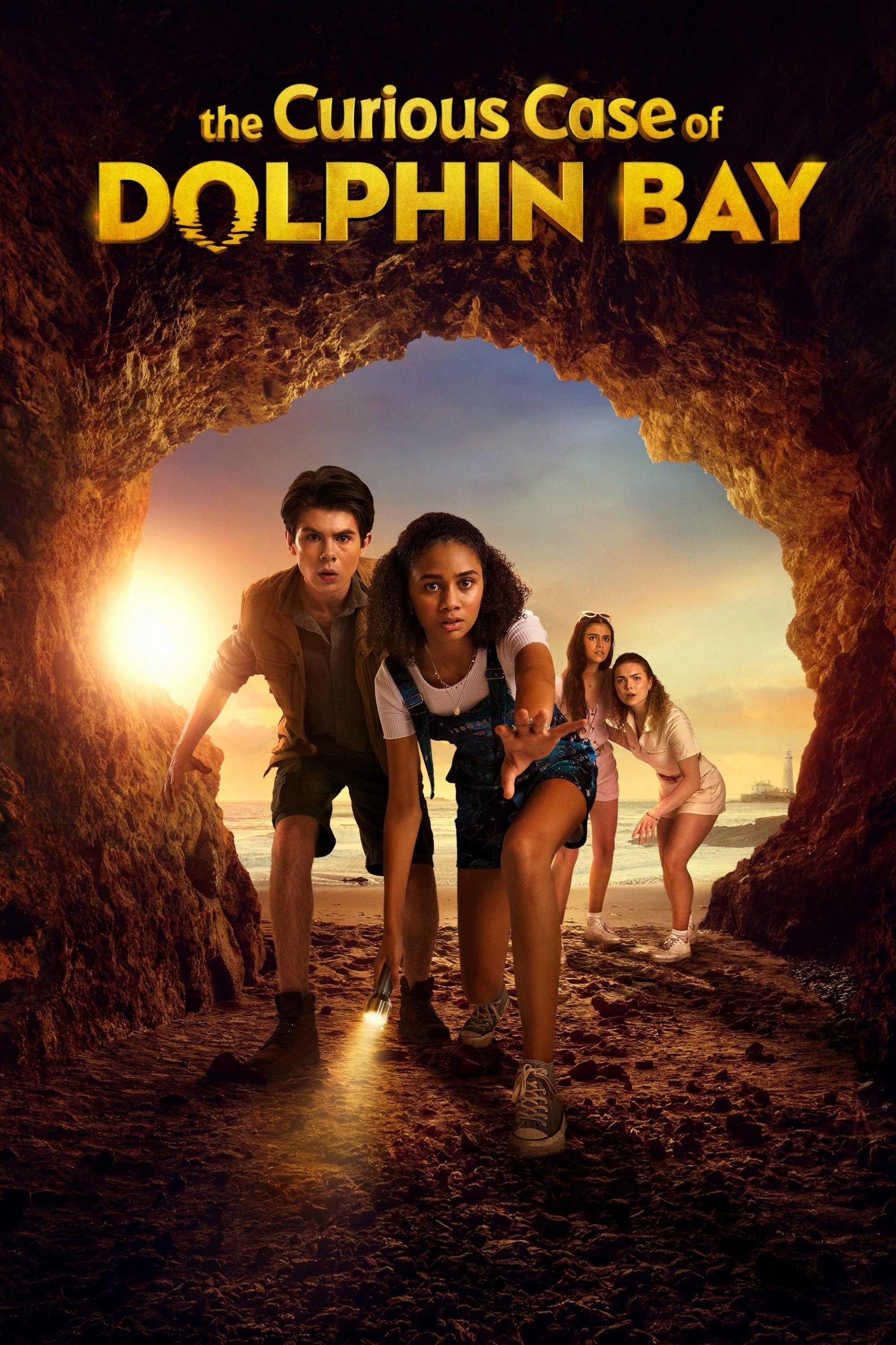 The Curious Case of Dolphin Bay movie poster print