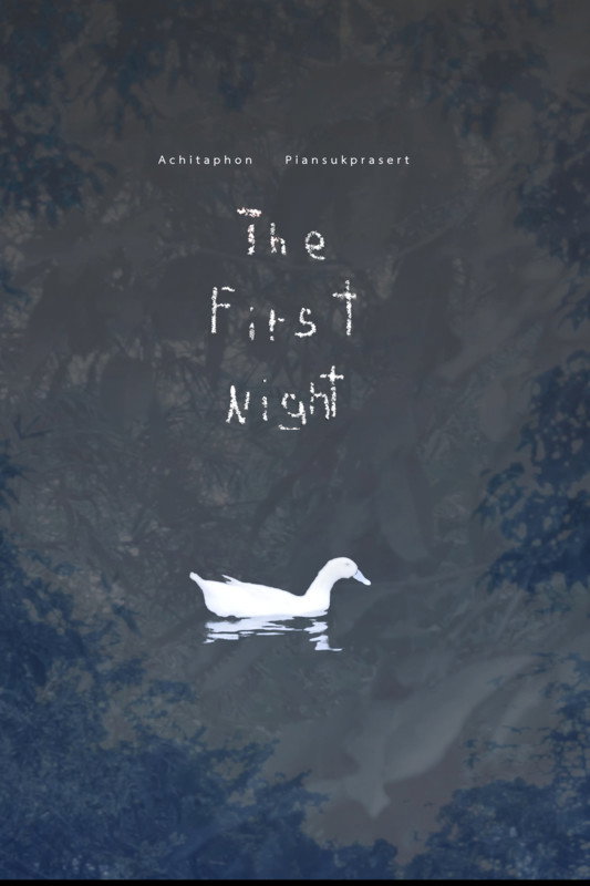 The First Night movie poster print