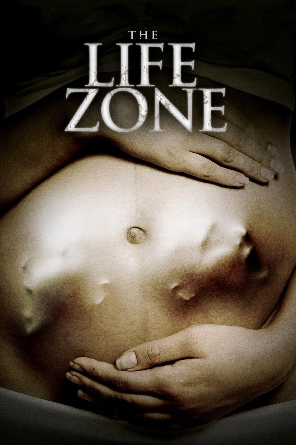 The Life Zone movie poster print
