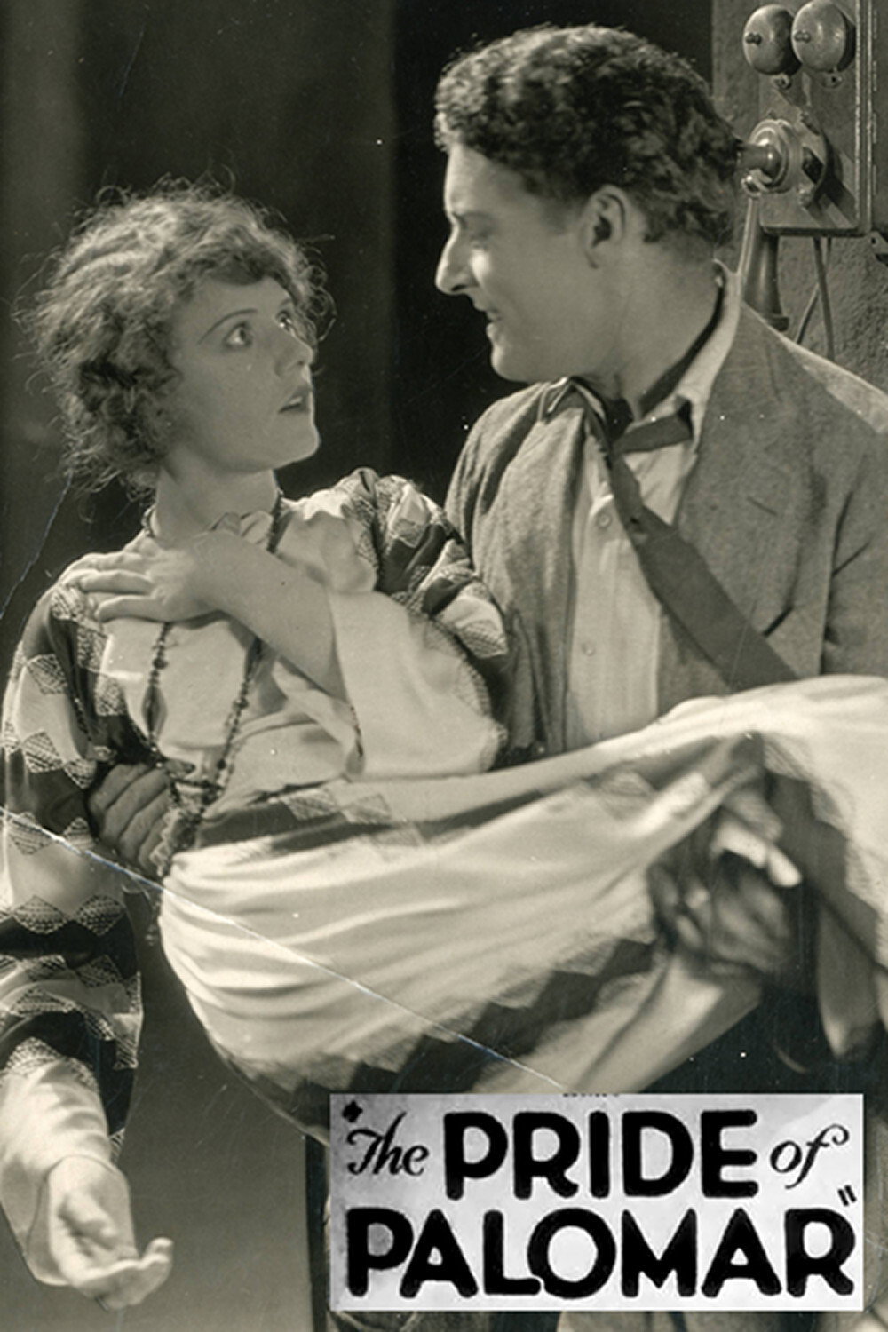 The Pride of Palomar movie poster print