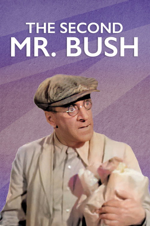 The Second Mr. Bush movie poster print