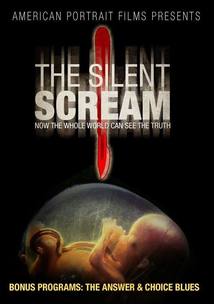 The Silent Scream movie poster print