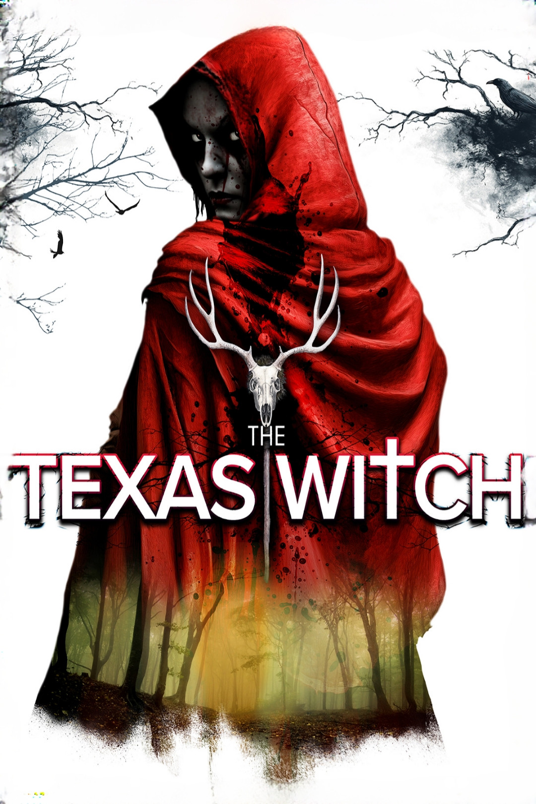 The Texas Witch movie poster print